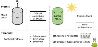 Mixotrophic Growth of Chlorella sorokiniana on Acetate and Butyrate: Interplay Between Substrate, C:N Ratio and pH